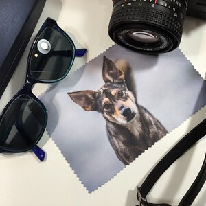 May include: A blue and green pair of glasses, a camera lens, a black camera strap, and a microfiber cleaning cloth with a dog printed on it.