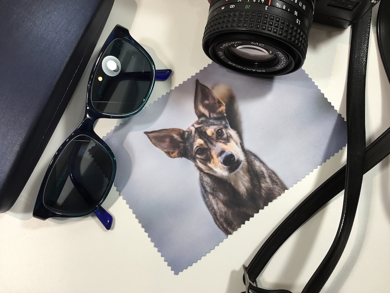 May include: A blue and green pair of glasses, a camera lens, a black camera strap, and a microfiber cleaning cloth with a dog printed on it.