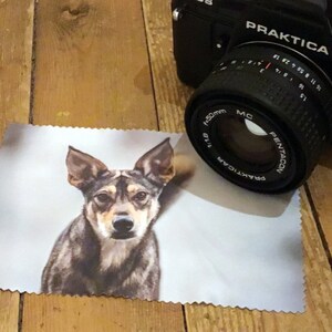May include: A close-up of a brown and white dog with a black nose looking directly at the camera. The dog is on a white background with a light blue tint. The dog is in focus, and the background is blurred. The image is printed on a white microfiber cleaning cloth.