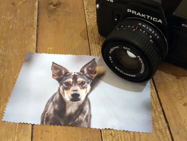 May include: A close-up of a brown and white dog with a black nose looking directly at the camera. The dog is on a white background with a light blue tint. The dog is in focus, and the background is blurred. The image is printed on a white microfiber cleaning cloth.
