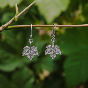 Puede incluir: Un par de pendientes de plata con diseño de hoja. Los pendientes están colgados de una rama.