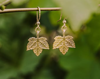 Vergulde sterlingzilveren oorbellen esdoornblad – op de natuur geïnspireerd, lichtgewicht, nikkelvrij, handgemaakte botanische sieraden cadeau