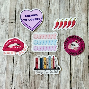 Spicy Books Stickers, Smutty Books Stickers, Book Lover Stickers, Book Lover Gift, Kindle Sticker, Booktok, Bookish stickers, Smut stickers