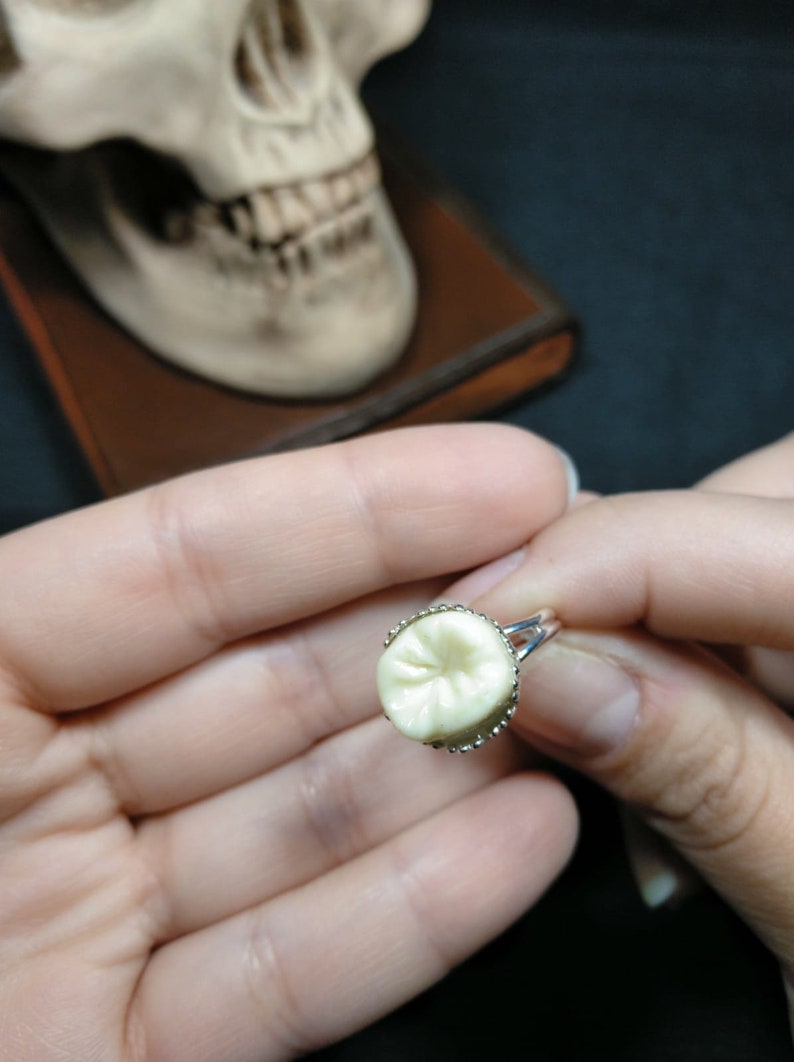 jewelry with teeth macabre jewelry grindstone rings tooth rings Human teeth halloween rings, gothic rings