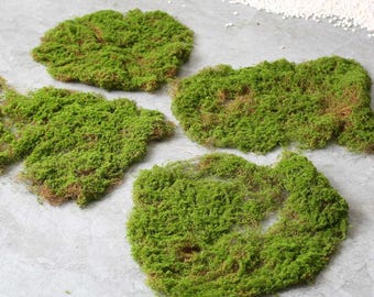 Artificial Moss Patch: Reusable Faux Forest Decor for Terrariums