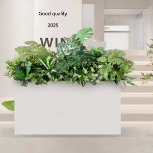 Può includere: Una struttura rettangolare bianca con lussureggianti piante verdi sulla parte superiore. Le piante includono grandi foglie strutturate e fogliame più piccolo. Il testo sul muro recita "Good quality", "2025" e "WIN". La scena è interna con una scala sullo sfondo.