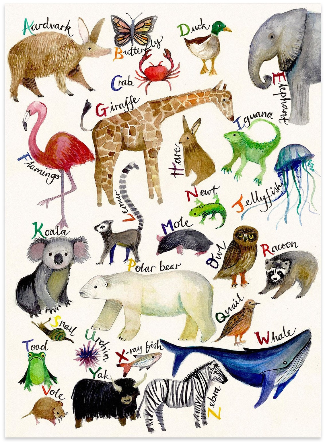The AZ of Animals Watercolour Print, Animal Alphabet Etsy UK