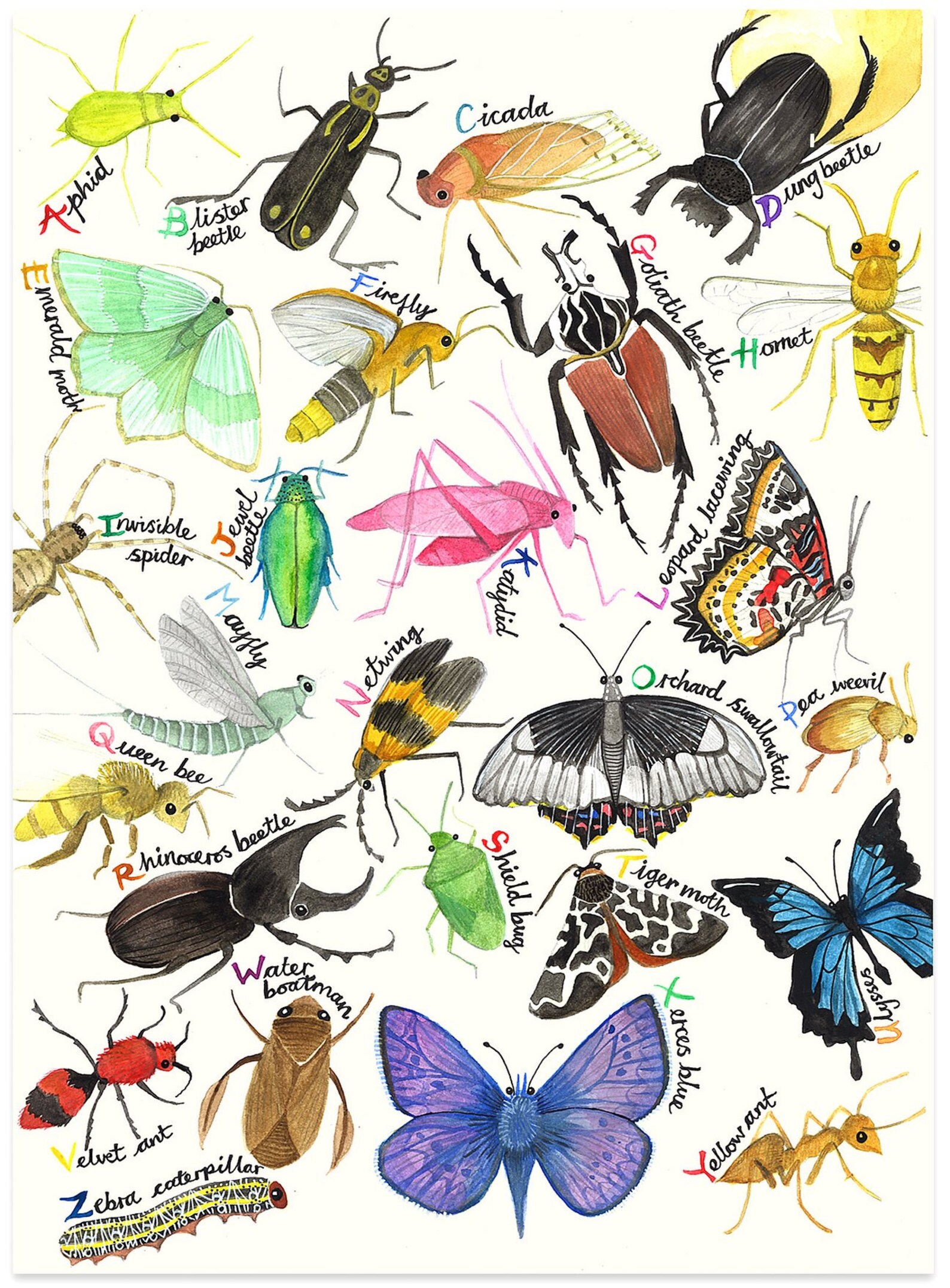 Bug Alphabet, Animal Alphabet, Alphabet Print, Nursery Print, Kids Room