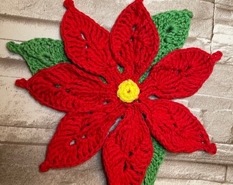 Christmas poinsettia