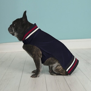 HIPSTER PUPS Dog Jacket Pet Pup Puppy Bomber Jacket Outerwear Coat in Navy