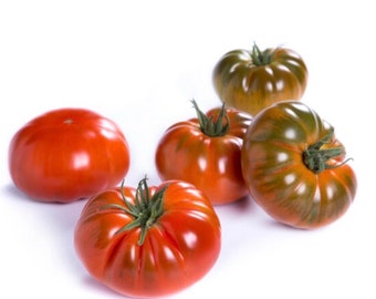 Tomaten-Tafuri, mittelgroß, 150-200 g.