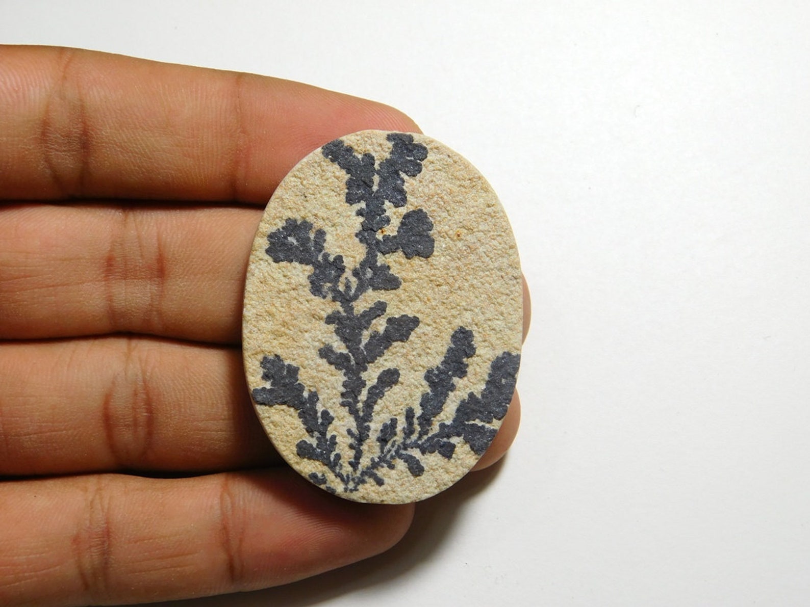 psilomelane dendrite psilomelane dendrite