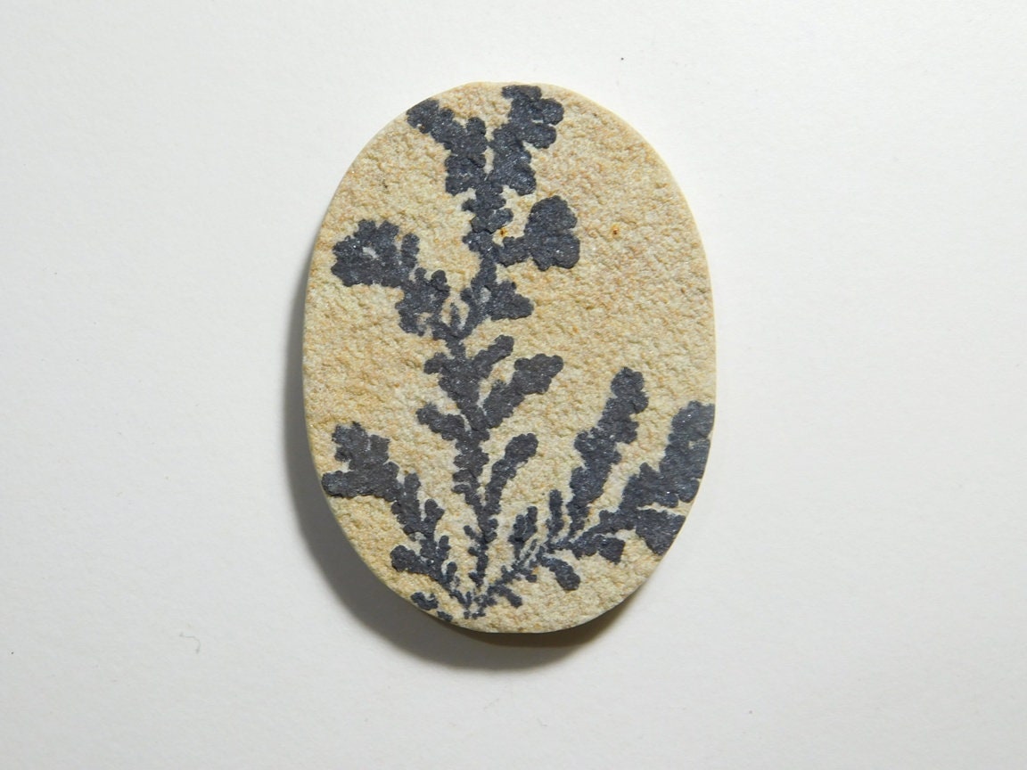 psilomelane dendrite psilomelane dendrite