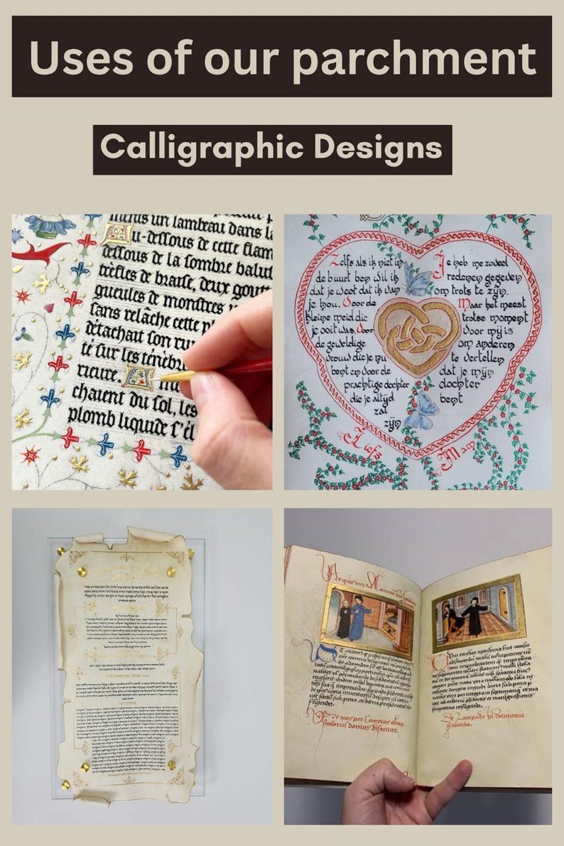 Parchment Text Example Goatskin Parchment Vellum Sheets: Calligraphy Writing Kit - Etsy