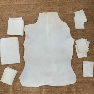 MANOSCRITTO Pergamena, fogli di pelle di capra, pelle di vitello per calligrafia, pittura, scrittura, rilegatura e altro, pergamena di capra