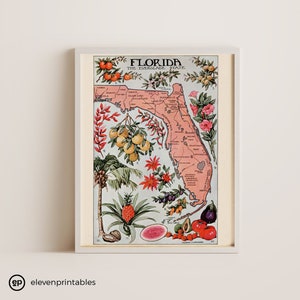 State Map of Florida 1917, Natural Resources, Vintage Poster, Vintage Florida Map, Vintage Florida Poster, Vintage Travel, Digital Download