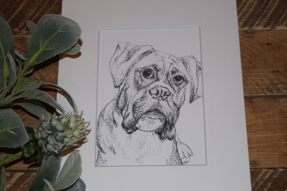 Boxer Dog Sketch