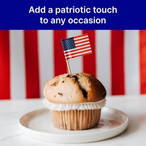 Jolly Roger Pirate Cupcake Flags, Cocktail Picks (100 Count) image 4