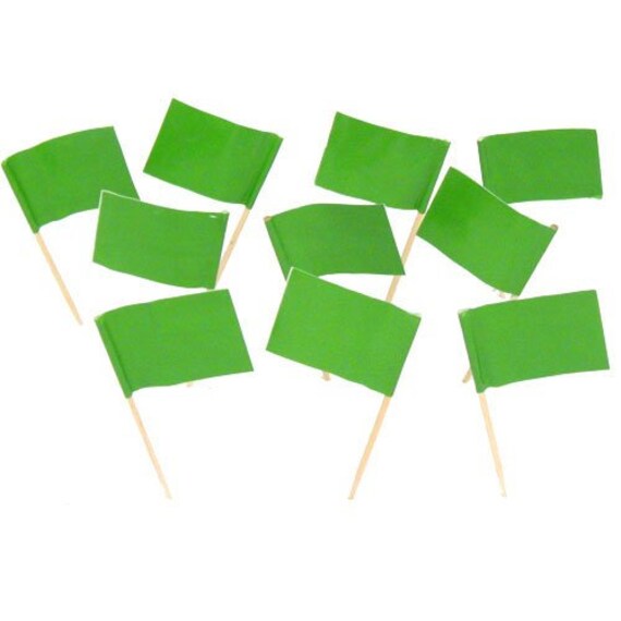  stidsds 100 Pcs Pakistan Flag Pakistan Toothpick