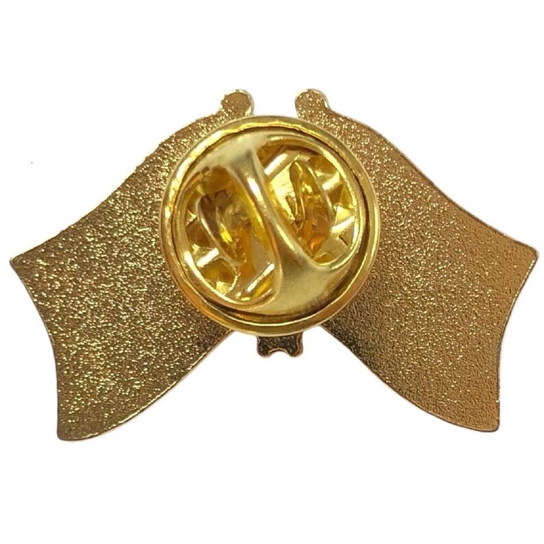 Pin de solapa con banderas cruzadas de Suecia y EE. UU., insignia de amistad internacional. imagen 3