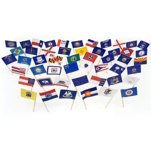 US State Flag Toothpicks, 100 Assorted Mini Cocktail Picks