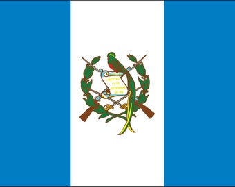 Vinyl Banner Sign Guatemala Flag Logo Blue White Countries Marketing Advertising Blue 4 Grommets Multiple Sizes Available 28inx70in Set of 2 Vinyl Banner Sign Guatemala Flag Logo Blue White Countries Marketing Advertising Blue 4 Grommets Multiple Sizes Available 28inx70in Set of 2