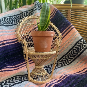 Vintage Mini Wicker Peacock Chair  |  Plant Stand