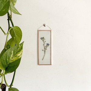 REAL PRESSED FORGETMENOT | hand made pressed forget me not wall hang picture long frame |nature,copper,glass,home decor