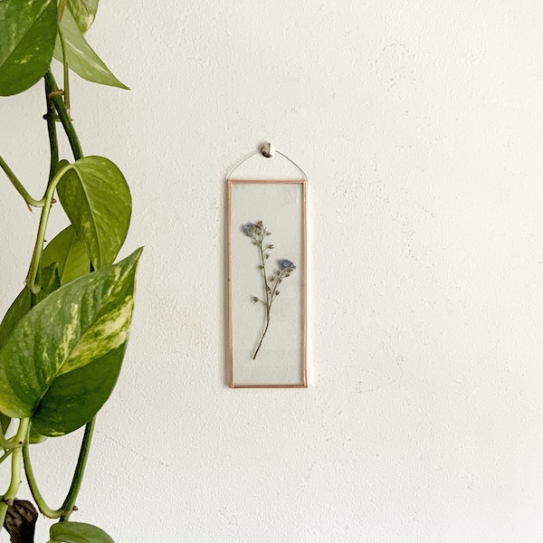 REAL PRESSED FORGETMENOT | hand made pressed forget me not wall hang picture long frame |nature,copper,glass,home decor