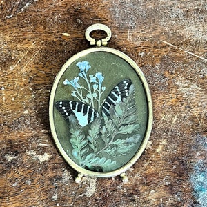PRESSED FLOWER | real butterfly wings and wildflowers in vintage brass frame curiosity and oddities