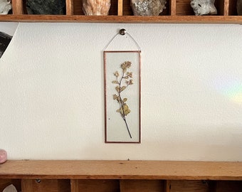 REAL PRESSED FLOWER | real wildflower in glass with copper