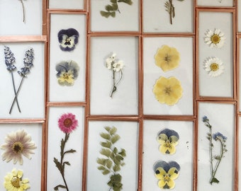 Pressed Flower Frame Etsy