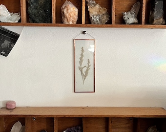 REAL PRESSED FLOWER | real pressed wild sage in glass copper boarder wall hang