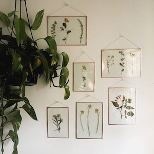 MYSTERY PRESSED WILDFLOWERS | handmade pressed wall hang picture frame | nature copper glass home decor