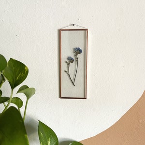 REAL PRESSED FORGETMENOT hand made pressed forget me not wall hang picture long frame nature,copper,glass,home decor image 3