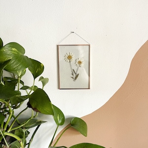 REAL PRESSED DAISY| hand made pressed white daisies wall hang picture frame |nature,copper,glass,home decor