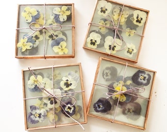 REAL PANSY COASTERS| real pressed assorted pansy glass coaster with a copper boarder set of 4