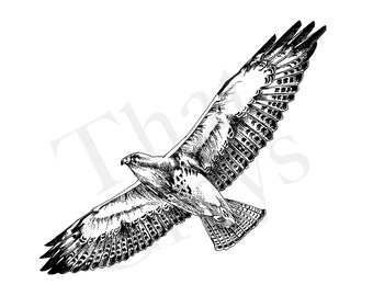 Hawk Tattoo Etsy