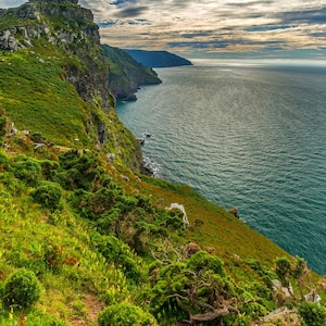 Valley of the Rocks, North Devon - 10x8 Signed & Mounted Photo Print