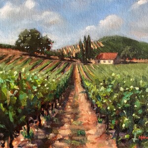 Vineyard & house