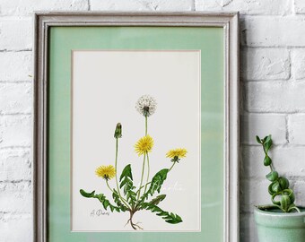 Dandelions - fine art print of the series of wildflowers