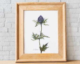 Thistle - fine art print of the series of wildflowers