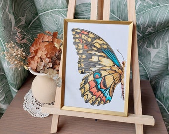 Original watercolor illustrations of a lime swallowtail butterfly