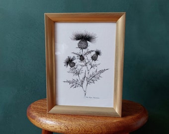 Thistle - fine art print of the series of black and white flowers