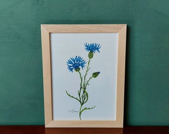 Cornflowers - fine art print of the series of wildflowers