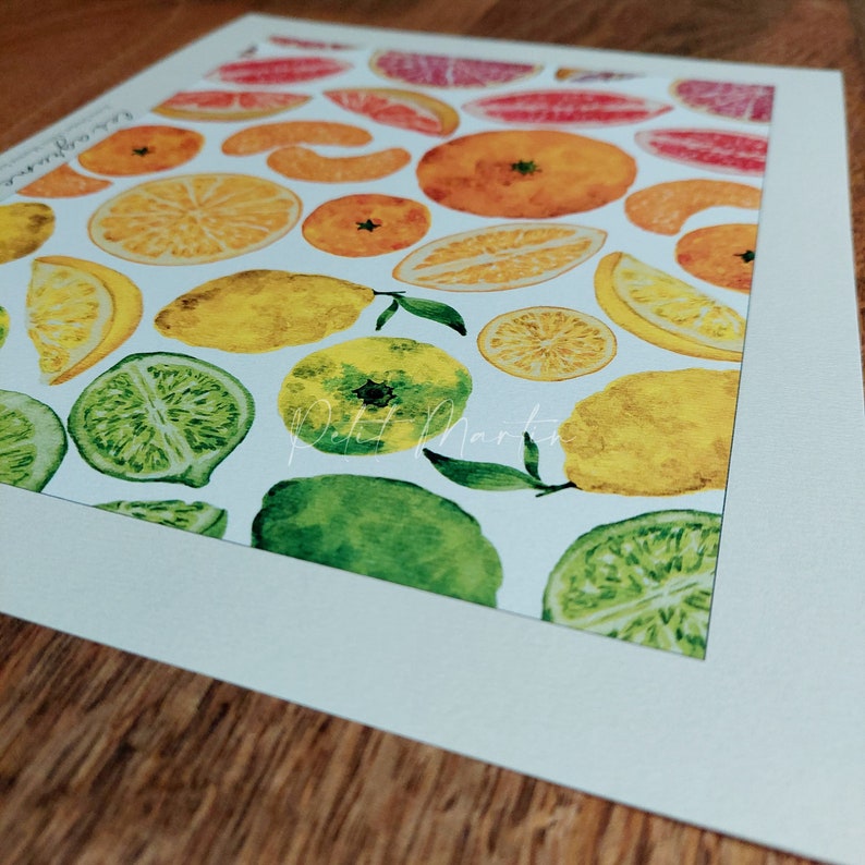 Stampe fine art di disegni acquerellati di varietà di agrumi immagine 4