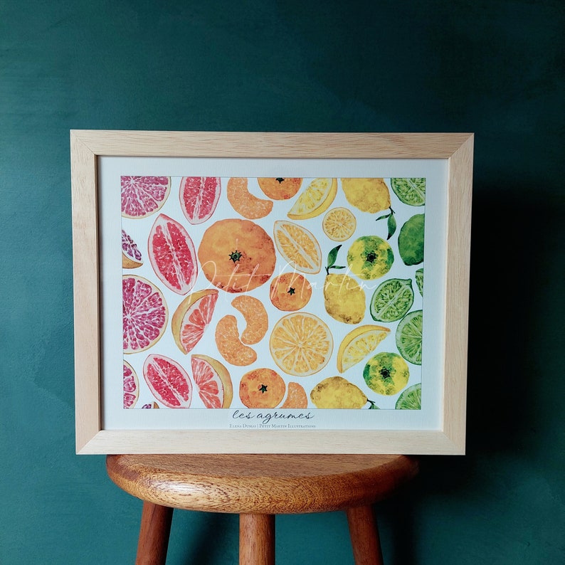 Stampe fine art di disegni acquerellati di varietà di agrumi immagine 1