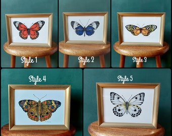 Butterfly series - fine art print of the series of butterflies