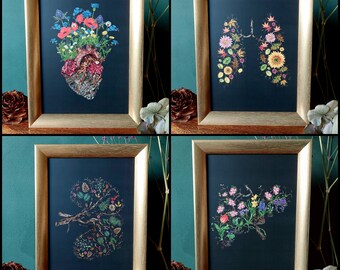 Botanical Anatomy series framed