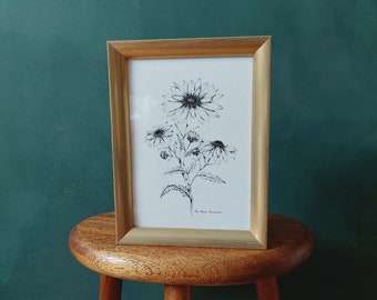 Daisy - fine art print of the series of black and white flowers